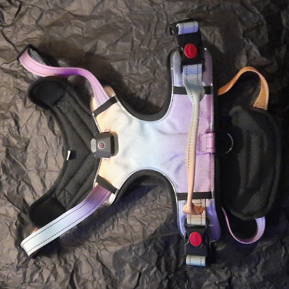 Rainbow dog harness with flashing neon lights ✨️